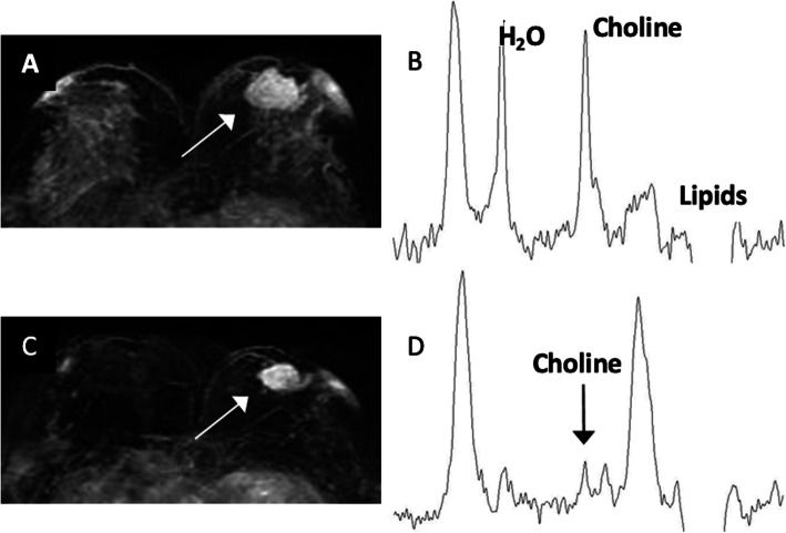 Fig. 10