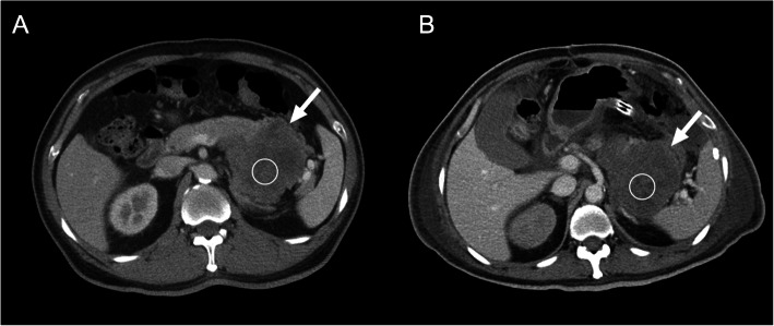 Fig. 7