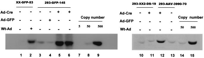 FIG. 9.