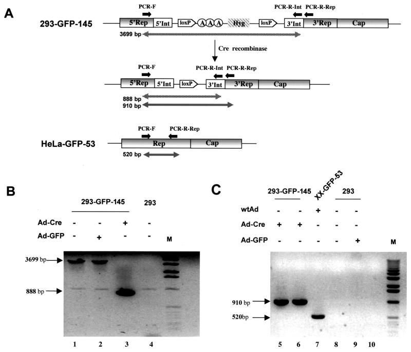 FIG. 8.