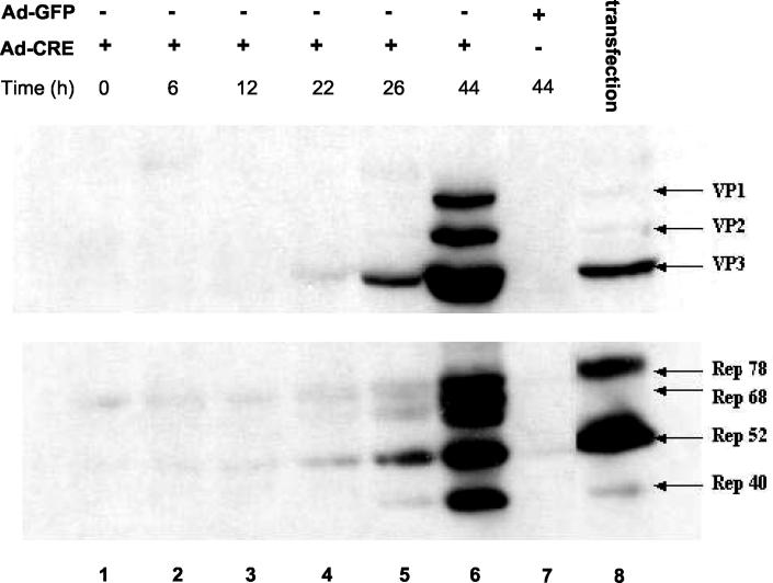 FIG. 4.