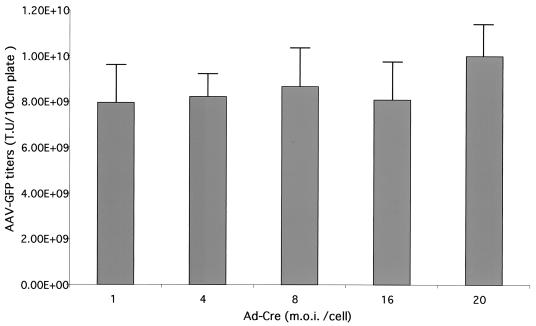 FIG. 5.