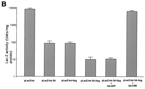 FIG. 2.