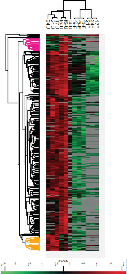 Figure 6.