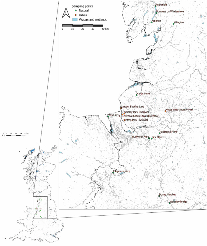 FIGURE 1
