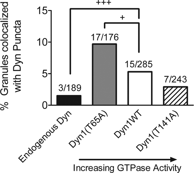 FIGURE 6: