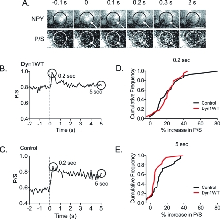 FIGURE 1: