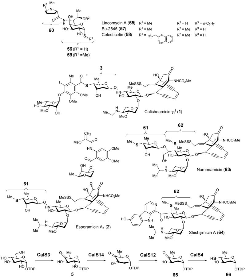 Scheme 10