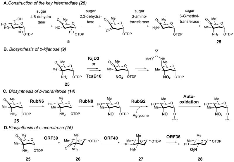 Scheme 2