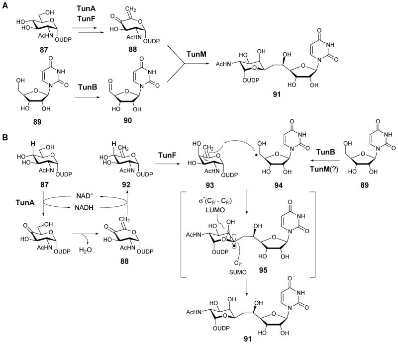 Scheme 13