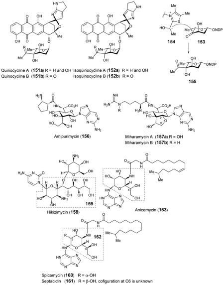 graphic file with name nihms439617u4.jpg