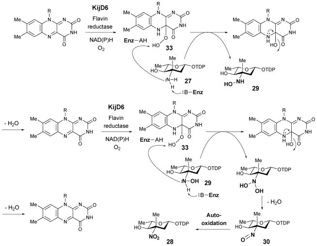 Scheme 4