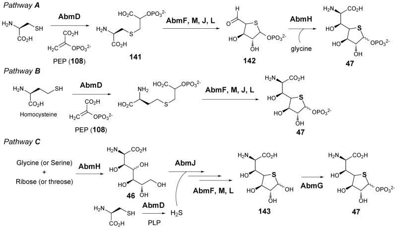 Scheme 20