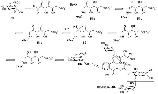 Scheme 7