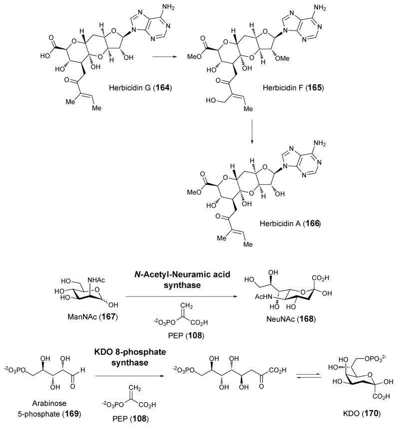 Scheme 22