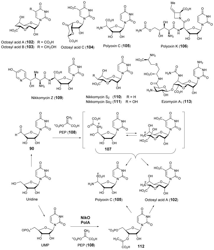 Scheme 15