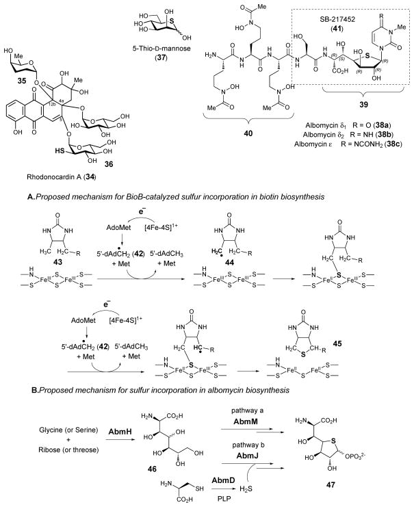 Scheme 5