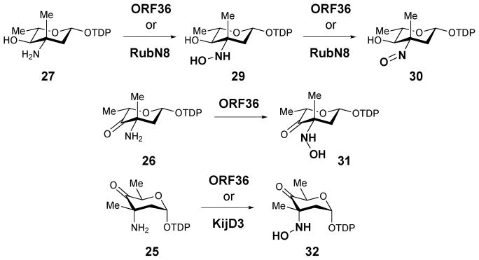 Scheme 3