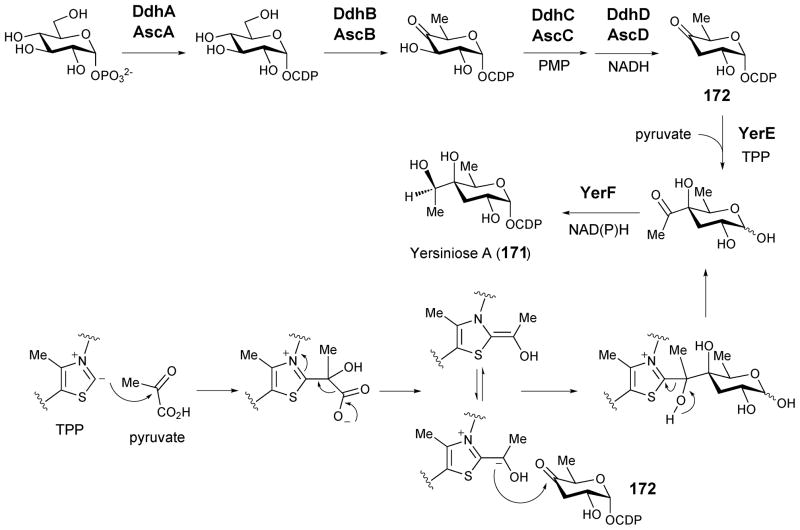 Scheme 23