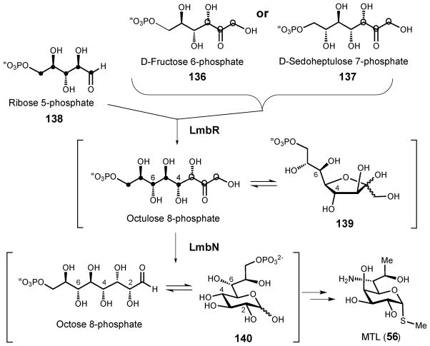 Scheme 19