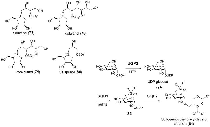 Scheme 12