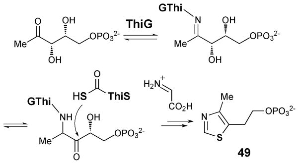 Scheme 6