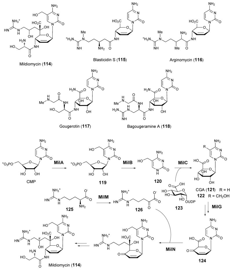 Scheme 16