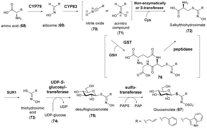 Scheme 11