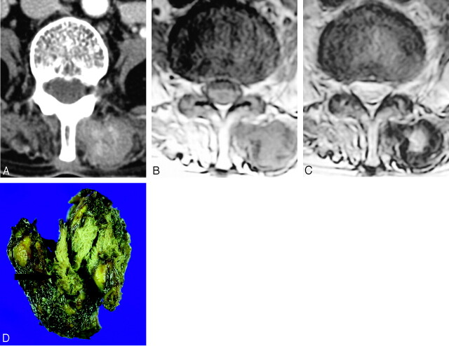 Fig 1.