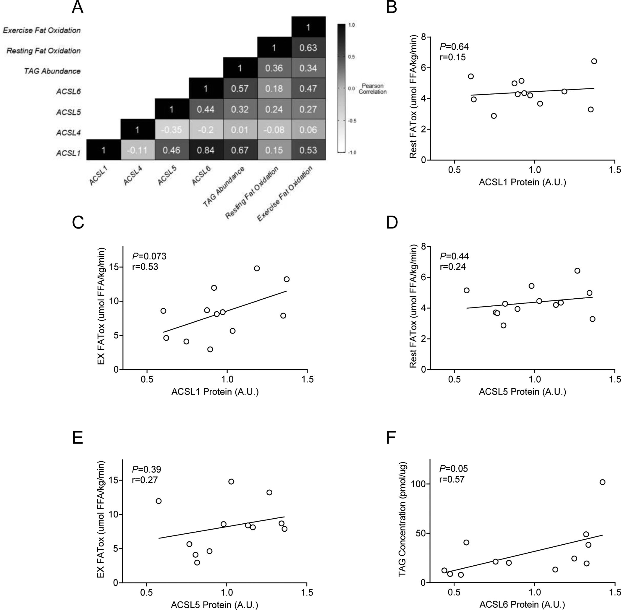 Figure 4: