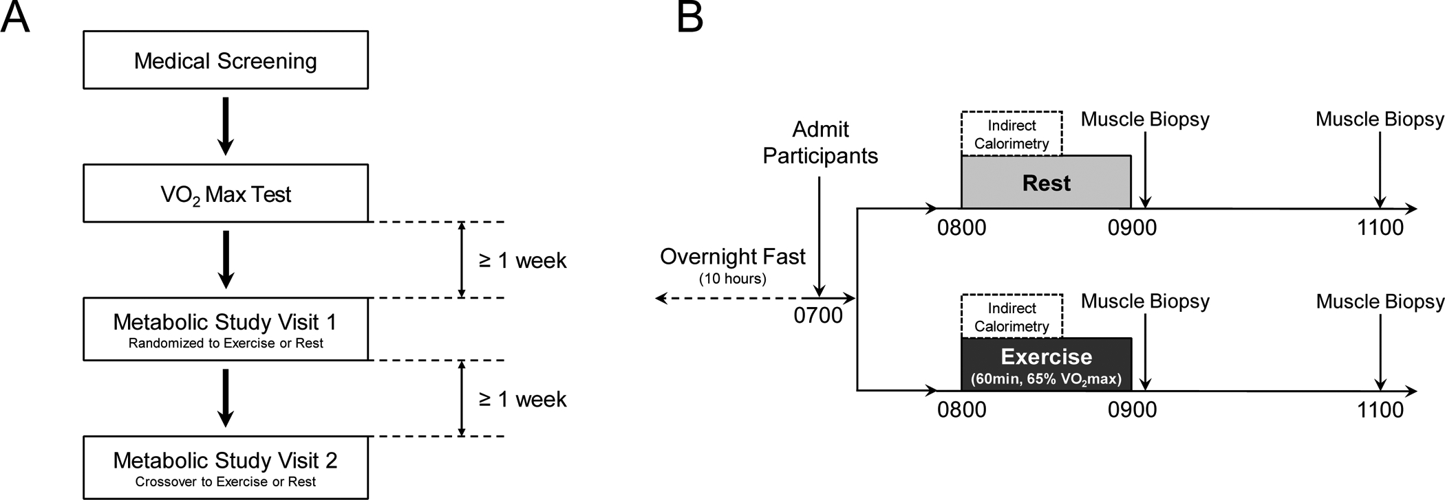 Figure 1: