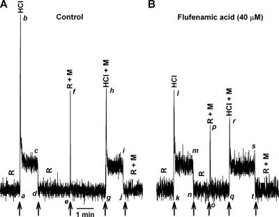 Figure 12.