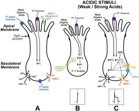 Figure 15.