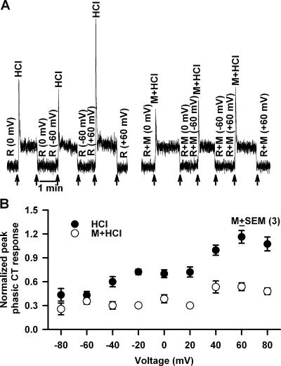 Figure 11.