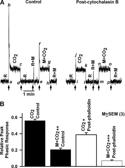 Figure 9.