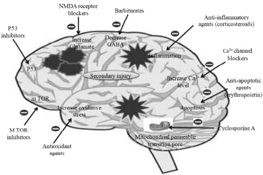 Fig. (10)