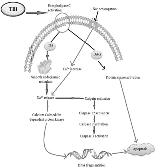 Fig. (4)