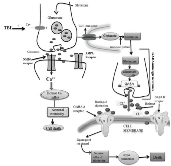 Fig. (2)