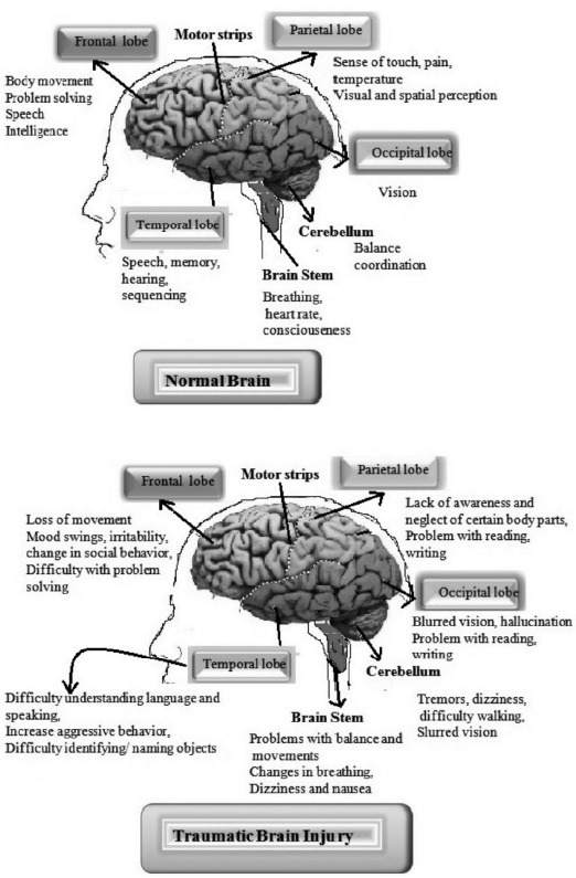 Fig. (9)