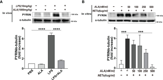 Figure 6