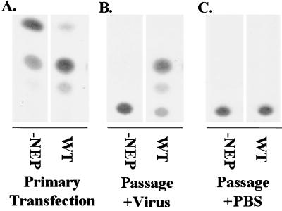 FIG. 5