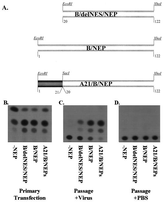 FIG. 6