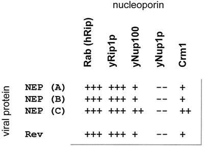 FIG. 1