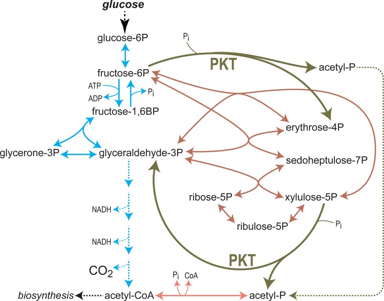 Figure 2.