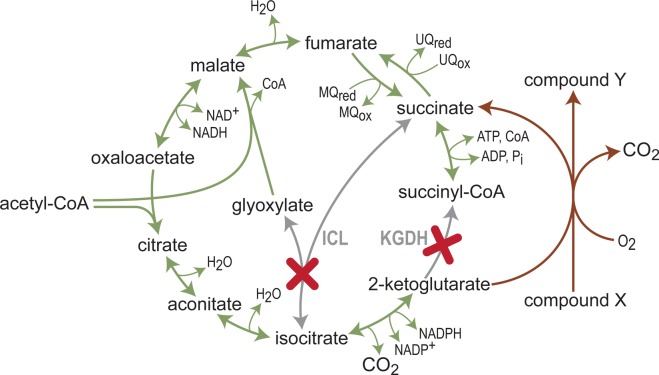 Figure 6.