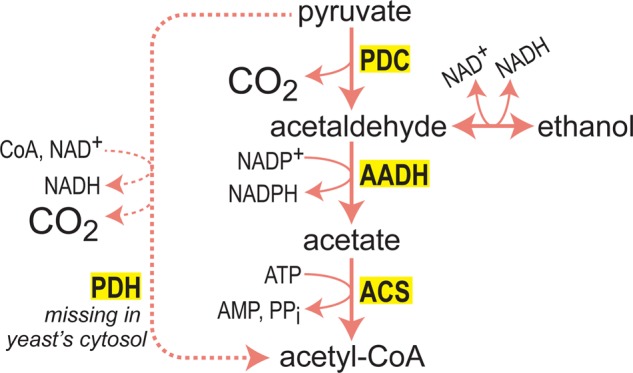 Figure 3.