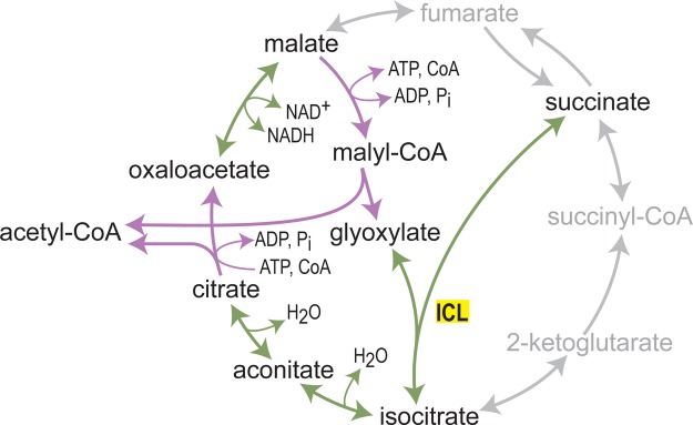 Figure 5.