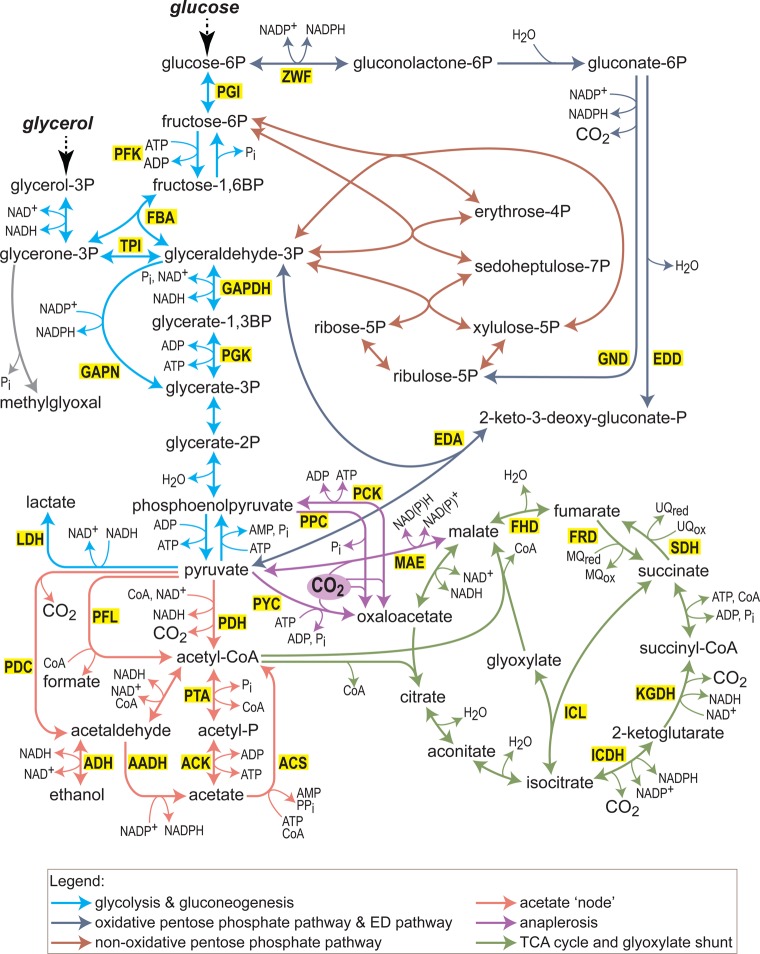 Figure 1.