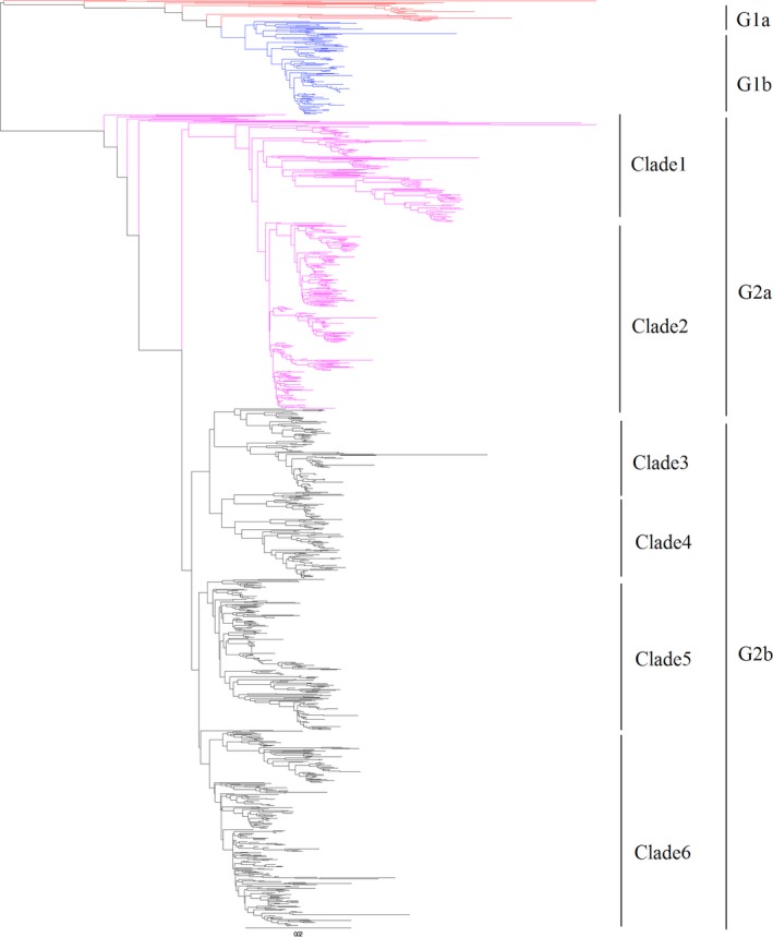 Figure 4