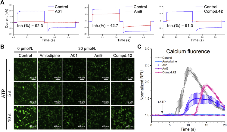 Figure 3